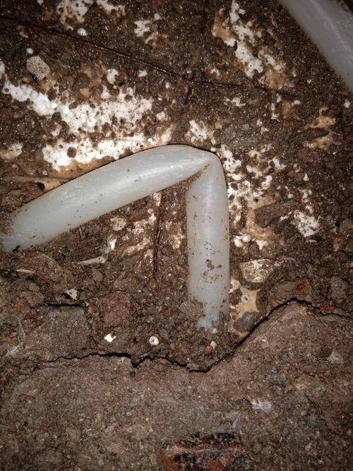 深州堵点精准查找